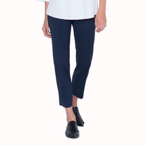 Zara Navy Ankle Length Pants